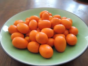 plate of kumquats