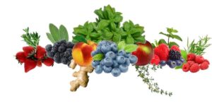 Fruit n Herbs for Logo